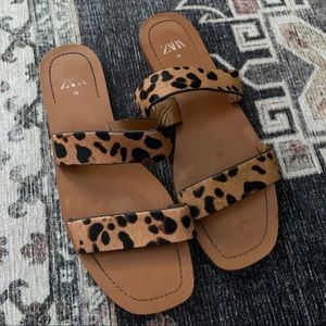 Cheetah flats